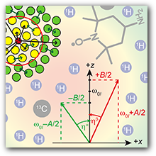 DNP mechanisms